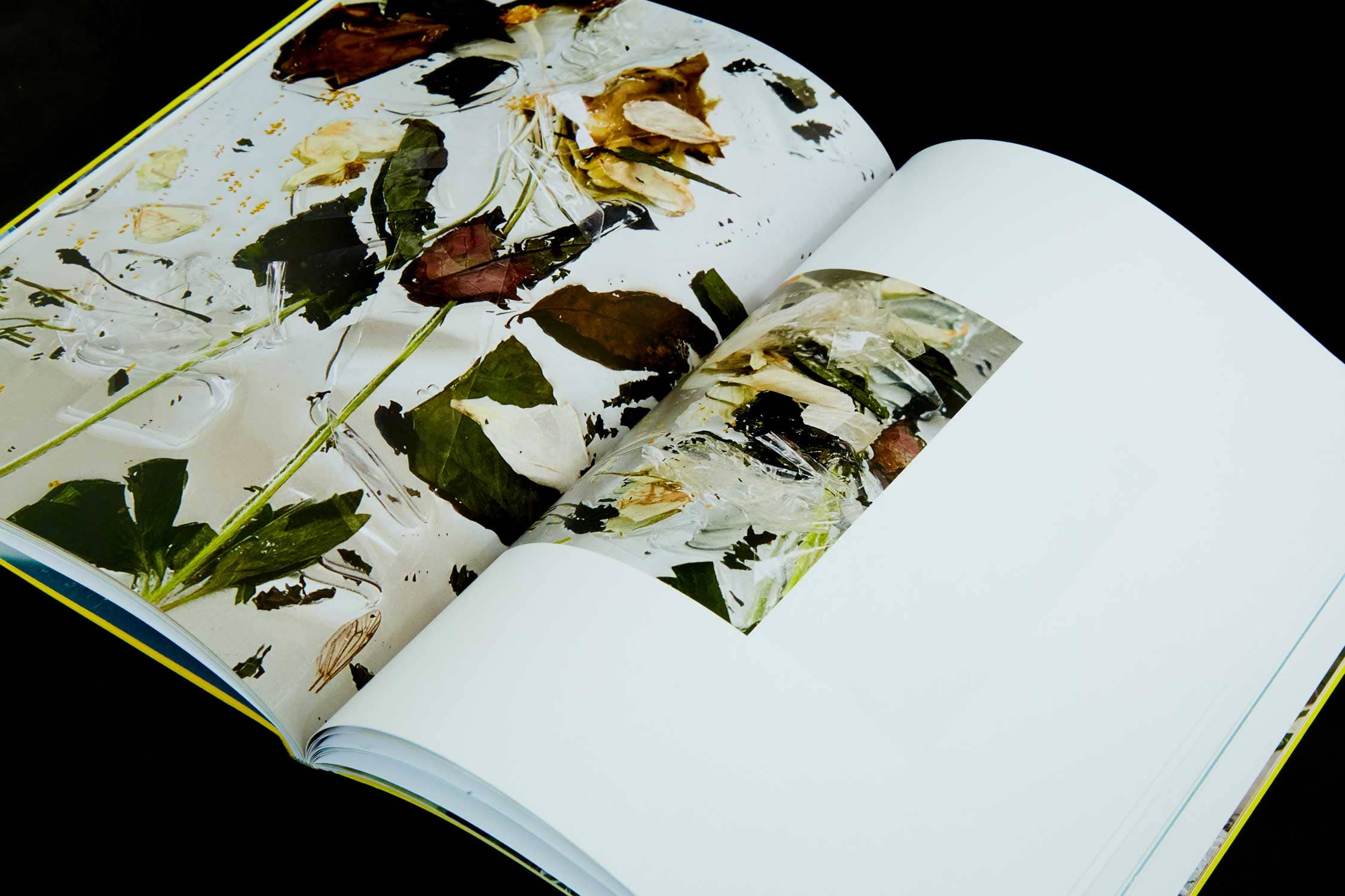 Fugues Book 01