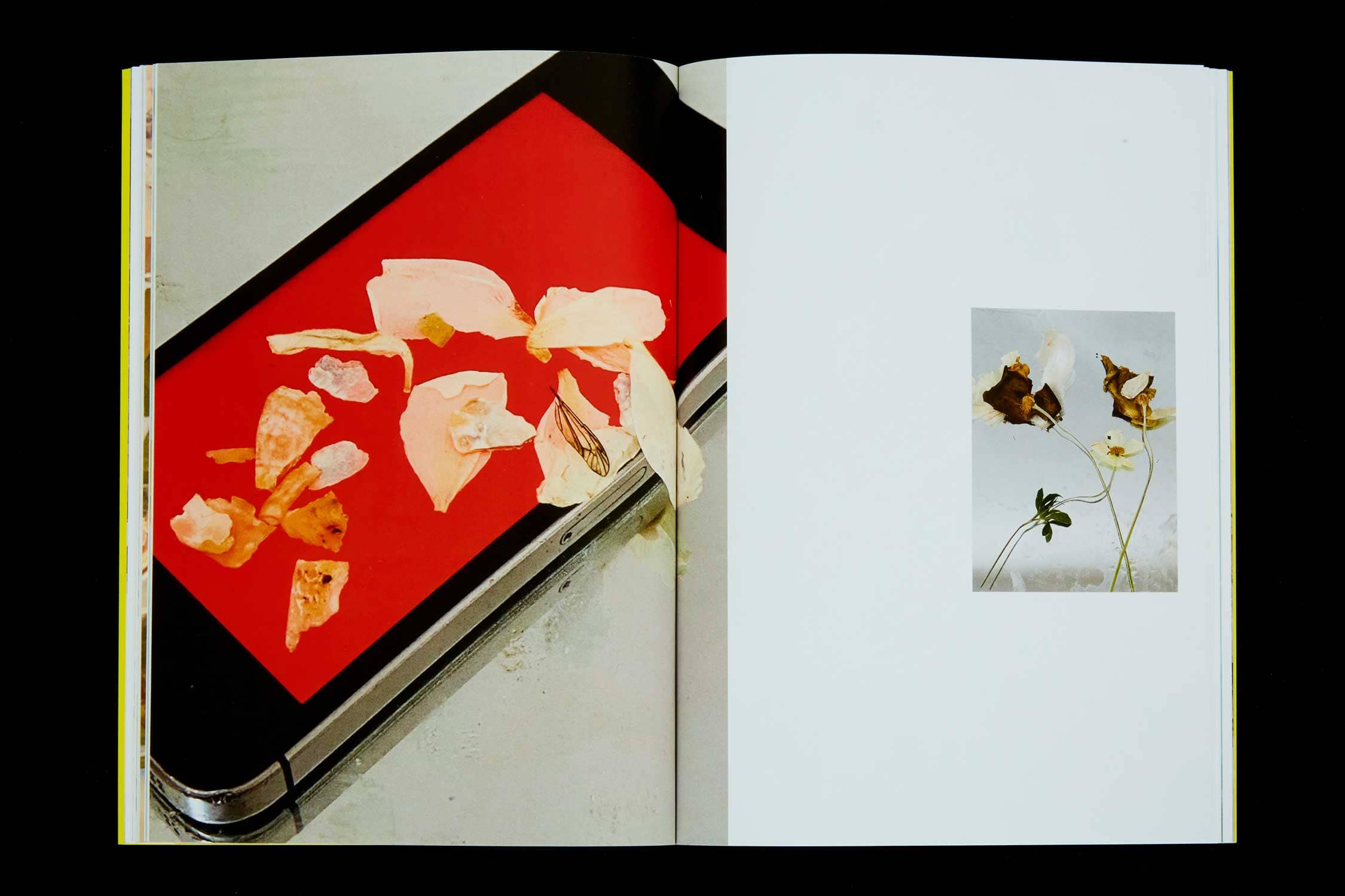 Fugues Book 05